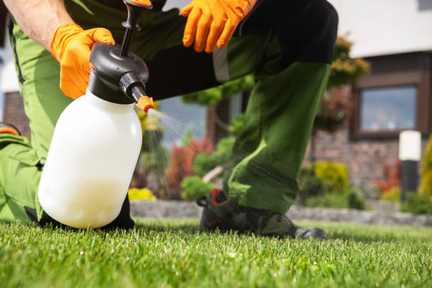 Pest Control for Restaurants in Ivyland, PA
