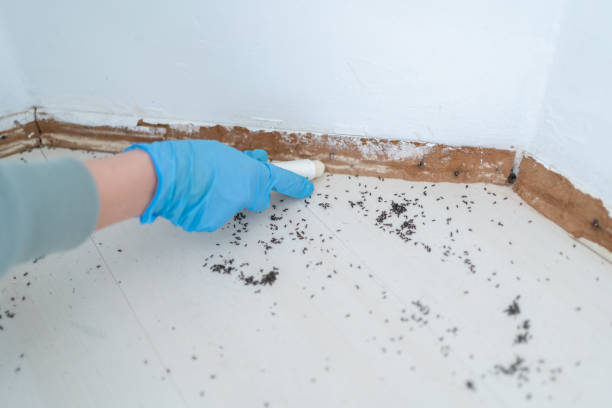 Best Best Pest Control Companies  in Ivyland, PA